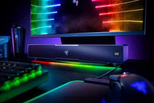 Razer Léviathan v2 PJ2B2Z83 audio de jeu une couleur