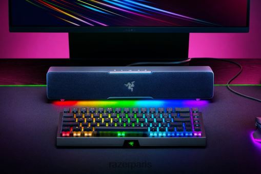 Razer Léviathan v2 x PJ2B2Z84 audio de jeu une couleur