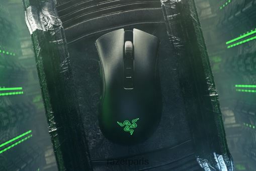 Razer DeathAdder V2 Pro PJ2B2Z41 souris noir