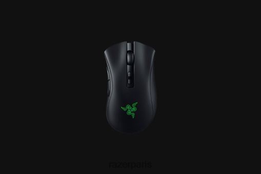 Razer DeathAdder V2 Pro PJ2B2Z41 souris noir