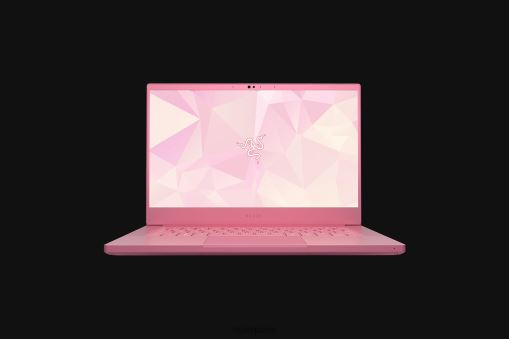 Razer personnalisez votre lame 14 PJ2B2Z4 ordinateur portable une couleur
