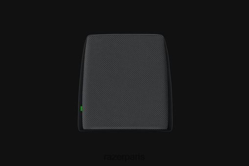 Razer coussin lombaire PJ2B2Z146 chaise de jeu une couleur